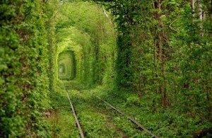 Tunnle of Love Old Train tunnel Ukraine